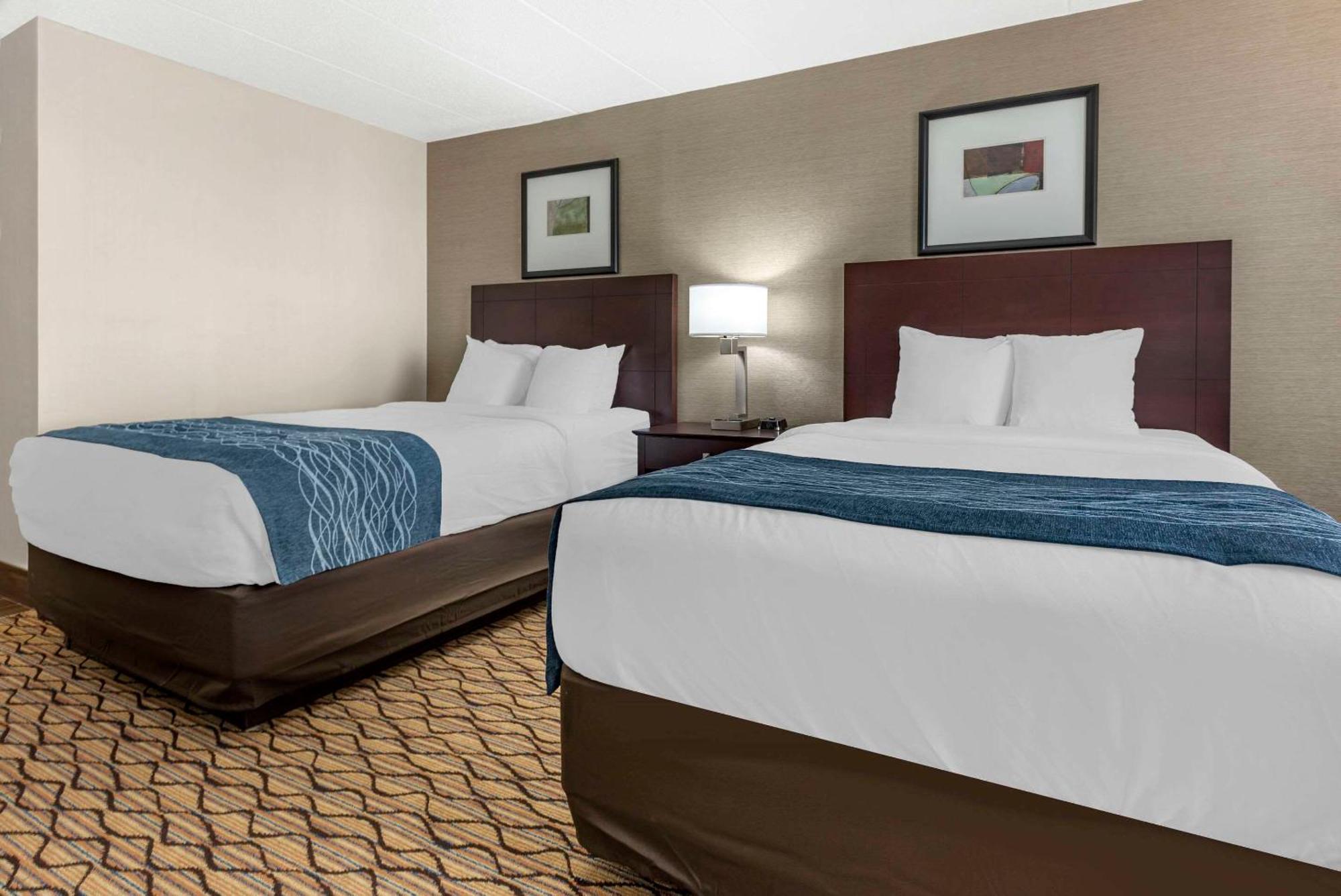 Comfort & - West Chester Glen Mills